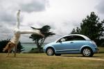 Citroen C3 Pluriel 2004 года